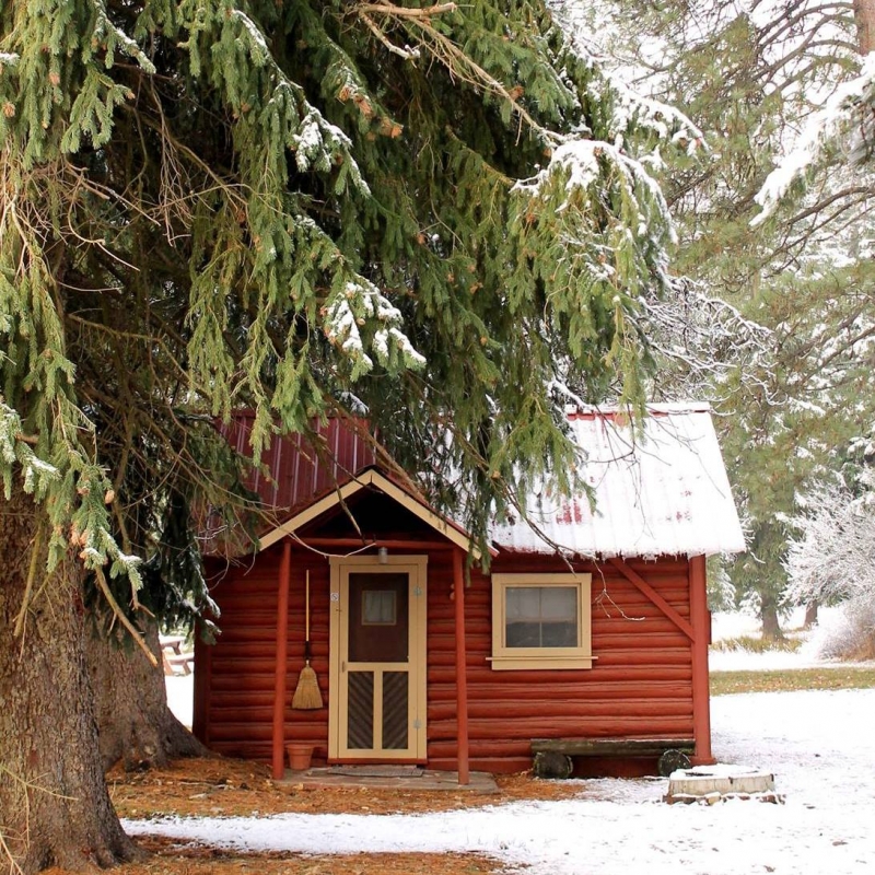 Cabin 2